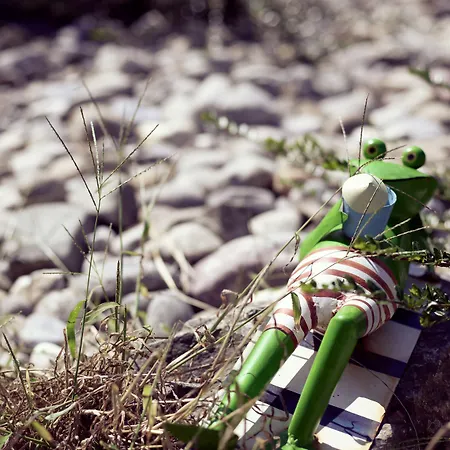 Schiff 3* Moos (Baden-Wurttemberg)