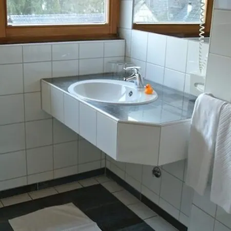 Schiff Moos (Baden-Wurttemberg)