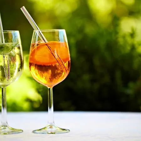 فندق Schiff موس