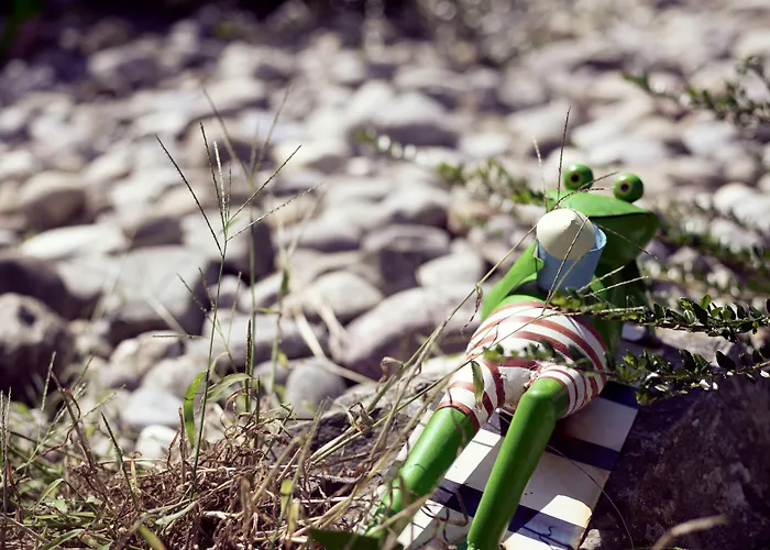 Schiff 3* Moos (Baden-Wurttemberg)