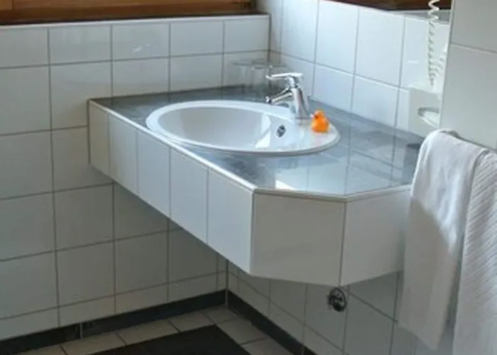 Schiff Moos (Baden-Wurttemberg)