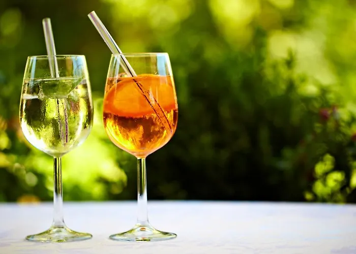 Hotell Schiff Moos (Baden-Wurttemberg)